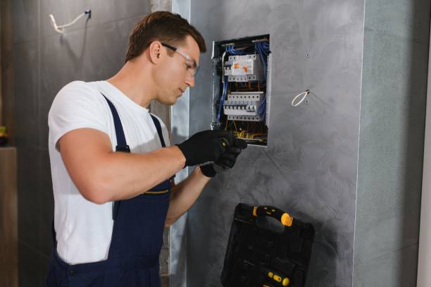 Best Electric Panel Repair  in Wolfhurst, OH